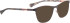 Bellinger MISTY-300 sunglasses in Brown