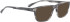 Bellinger MAJOR sunglasses in Grey