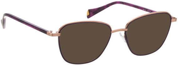 Bellinger LINE-2 sunglasses in Purple