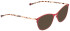Bellinger LESS-TIT-5982 sunglasses in Aubergine