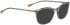 Bellinger LESS-ACE-2116 sunglasses in Light Grey