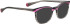 Bellinger LESS-ACE-2115 sunglasses in Grey