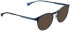 Bellinger LESS2042 sunglasses in Blue