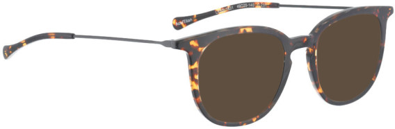 Bellinger LESS1831 sunglasses in Brown Pattern