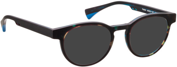 Bellinger DAYTON sunglasses in Brown