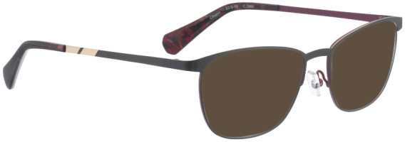 Bellinger CHARM sunglasses in Brown