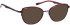 Bellinger ARC-X7 sunglasses in Purple
