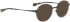 Bellinger ARC-3 sunglasses in Brown