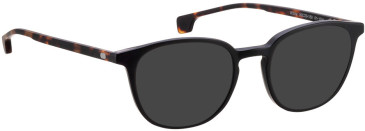 Entourage Of 7 WILLOW sunglasses in Matt Black