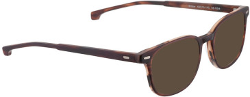 Entourage Of 7 WILDERM sunglasses in Matt Brown
