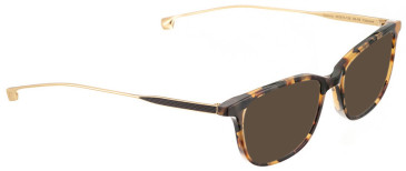 Entourage Of 7 VICTORIA sunglasses in Brown