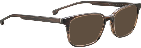Entourage Of 7 TAFT sunglasses in Brown