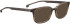 Entourage Of 7 TAFT sunglasses in Brown