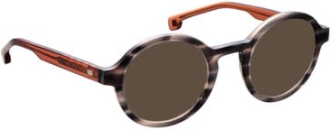 Entourage Of 7 RANDY sunglasses in Grey