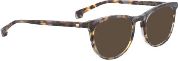 Entourage Of 7 PRICILLA sunglasses in Dark Tortoise