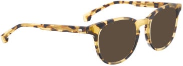Entourage Of 7 NOLA sunglasses in Light Tortoise