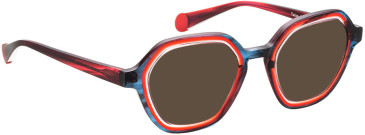 Bellinger TWICE-2 sunglasses in Brown