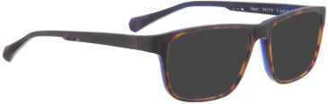 Bellinger MAJOR sunglasses in Matt Brown