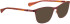 Bellinger LEGACY-6116 sunglasses in Red