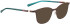 Bellinger LEGACY-6115 sunglasses in Brown