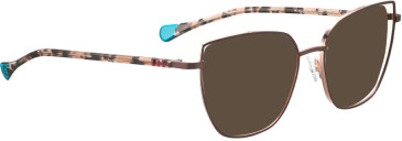 Bellinger LEGACY-5113 sunglasses in Brown