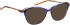 Bellinger LEGACY-3188 sunglasses in Blue
