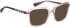 Bellinger LEGACY-3112 sunglasses in Pink