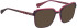 Bellinger LEGACY-3112 sunglasses in Purple