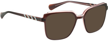 Bellinger LEGACY-3112 sunglasses in Brown