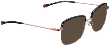 Bellinger CROWN-6 sunglasses in Rose Gold – Black
