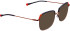 Bellinger CROWN-6 sunglasses in Grey-Copper