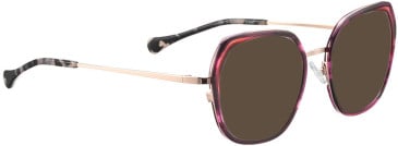 Bellinger ARC-X6 sunglasses in Purple