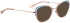 Bellinger ARC-X4 sunglasses in Brown Transparent