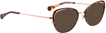 Bellinger ARC-X4 sunglasses in Brown