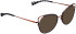 Bellinger ARC-X3 sunglasses in Grey