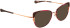 Bellinger ARC-X3 sunglasses in Purple