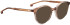 Entourage Of 7 HARLOW sunglasses in Brown
