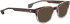 Entourage Of 7 HANK-HV sunglasses in Brown/Clear