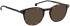 Entourage Of 7 DAX sunglasses in Brown