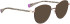 Bellinger WIRE-3 sunglasses in Brown
