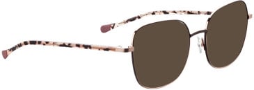 Bellinger WIRE-2 sunglasses in Brown