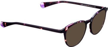 Bellinger LESS-ACE-2044 sunglasses in Brown