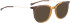 Bellinger LESS1831 sunglasses in Brown Transparent