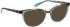 Bellinger LEGACY-3144 sunglasses in Green