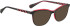 Bellinger LEGACY-3111 sunglasses in Black
