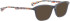 Bellinger LAMINA-2 sunglasses in Purple Pattern