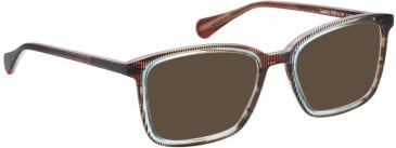Bellinger INSIDE-2 sunglasses in Brown