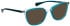 Bellinger INSIDE-1 sunglasses in Green