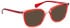Bellinger INSIDE-1 sunglasses in Red