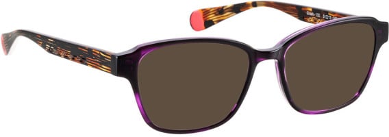 Bellinger GREEK-100 sunglasses in Purple